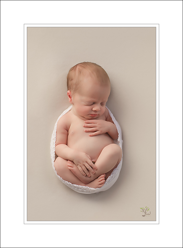 Seattle baby Photographer